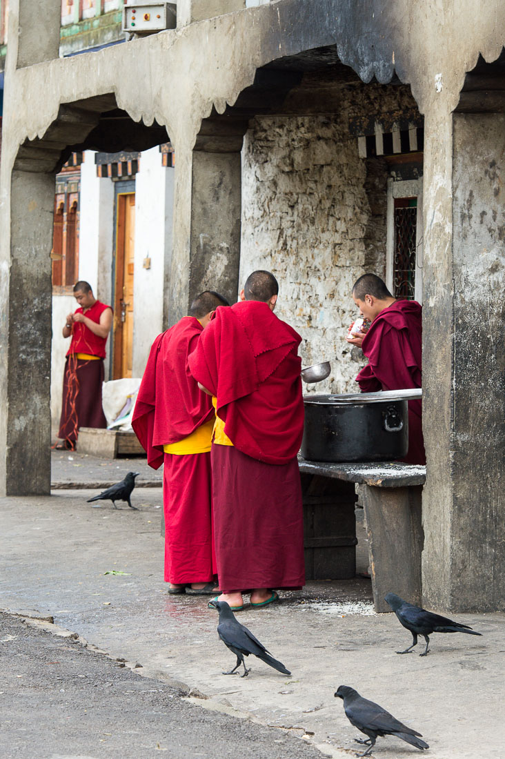 Buddhist monks getting their lunch, Kingdom of Bhutan, Asia