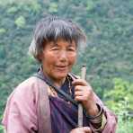 Old woman in the countryside, walking her cows home, Kingdom of Bhutan, Asia