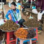 Woman at the market selling exotic food: crickets, tarantulas, and filled frogs â¦ Kingdom of Cambodia, Indochina, South East Asia