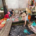 Family members cleaning fishes at the market in Siem Reap; Kingdom of Cambodia, Indochina, South East Asia.