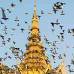 Particular of the Royal Palace in Phnom Penh. Kingdom of Cambodia, Indochina, South East Asia