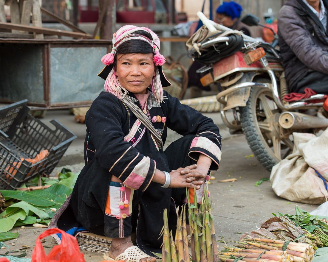 A woman from the Ha Ni ethnic minority people, wearing the traditional costume, selling bamboo shoots at Jin Shui He market, Jin Ping County, Yunnan Province, China, Asia. Nikon D4, 70-200mm, f/2.8, VR II