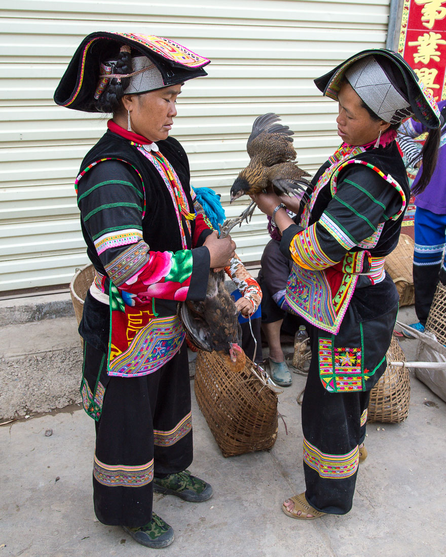 Two women from the Yi ethnic minority people in traditional costumes exchanging comments on newly purchased poultry. Lao Ji Zhai market, Yunnan Province, China, Asia. Nikon D4, 24-120mm, f/4.0, VR