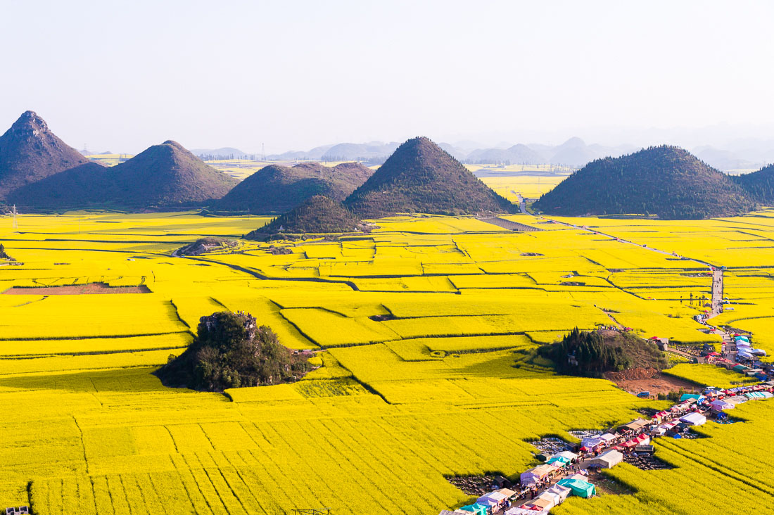 Infinite fields of yellow rapeseed flowers in Luo Ping County. Yunnan Province, China, Asia. Nikon D4, 24-120mm, f/4.0, VR