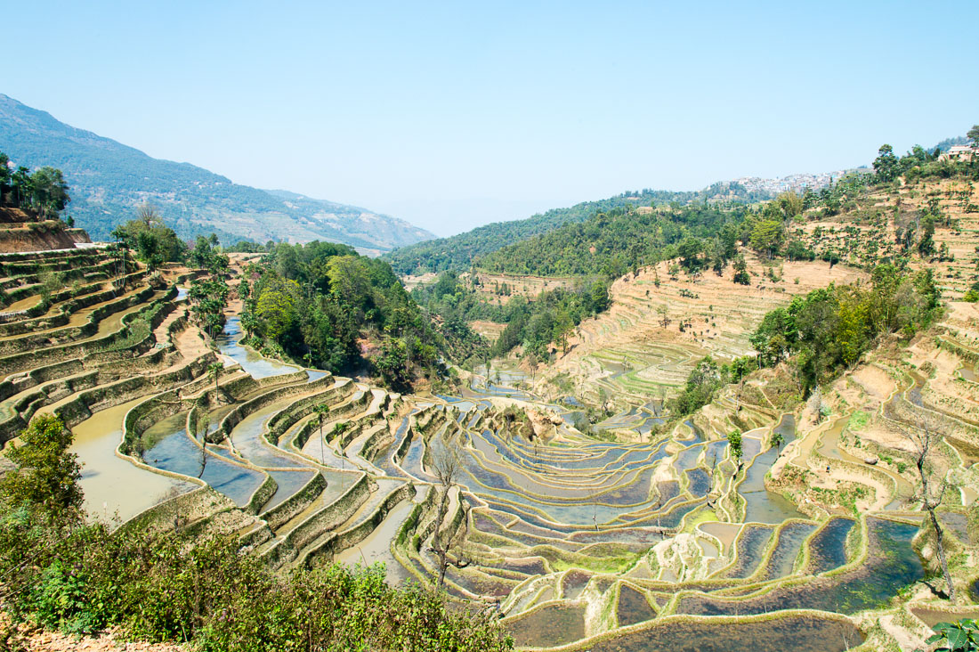 Endless rice terraces in Jia Yin village, Yunnan Province, China, Asia. Nikon D4, 24-120mm, f/4.0, VR