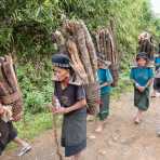 A group of women and children  from the Akha Mouchi people ethnic minority carryng fire wood in their backpaks bamboo basket, Eupeuchimg village, Phongsali province, Lao PDR, Indochina, South east Asia.