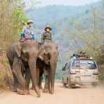 Road traffic in rural Laos: two elephants and a minivan, Vientiane province. Lao PDR, Laos, Indochina, South East Asia.