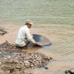Unsophisticated gold mining on the Mekong river, washing the mud on the tray, hopfully looking for gold. Lao PDR, Laos, Indochina, South East Asia.