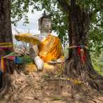 An old statue of Buddha, representing the victory over Mara, satan, being 'absorbed' by the tree rooths, near Wat Phou temple in Champasak province. Lao PDR, Laos, Indochina, South East Asia