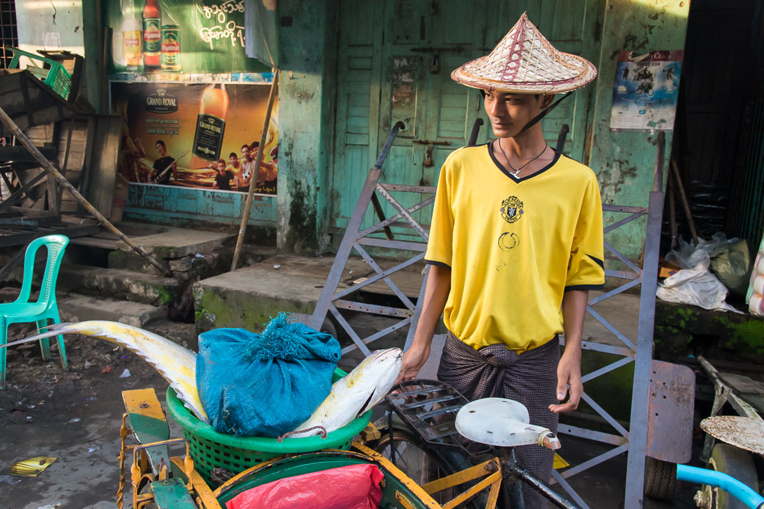 A fresh caught large fish loaded on a trishaw at the market in Sittwe, Rakhine State, Myanmar, Indochina, South Easr Asia.