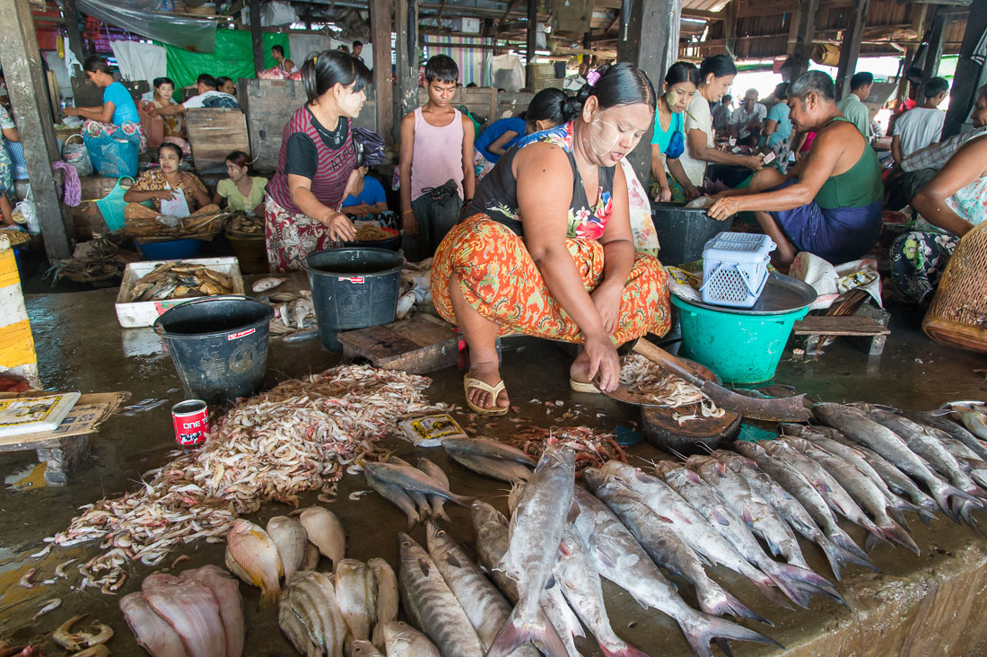 A fish seller with Tha Nat Khar on her face, at the market in Sittwe, Rakhine State, Myanmar, Indochina, South Easr Asia.