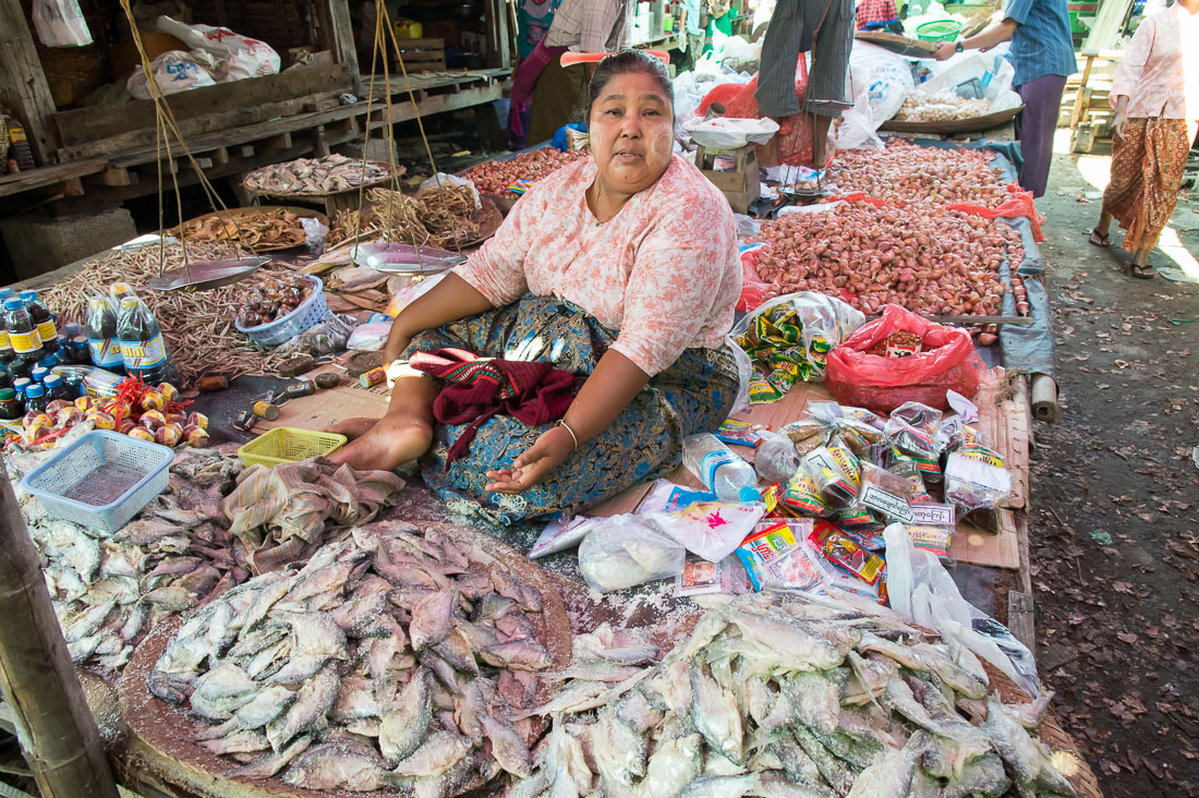 Woman selling salted fishes at Nanpam Village market, Inle Lake, Shan State, Mynamar, Indochina, South East Asia.