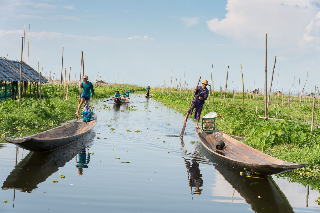 Boatmen traditionally leg rowing, Inle Lake, Shan State, Myanmar, Indochina, South East Asia.