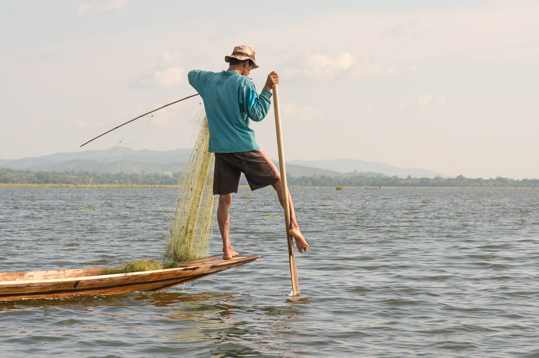 Fisherman traditionally leg rowing, Inle Lake, Shan State, Myanmar, Indochina, South East Asia.