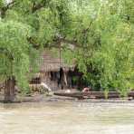 A man working on a  dugout canoe, Kaladan river, Rakhine State, Myanmar, Indochina, South East Asia.