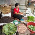 Areca nuts, betel leaves, lime and tobacco to make the perfect paan, the mixture most of the people in Asia are addicted to chew, Mrauk U Village, Rakhine State, Myanmar, Indochina, South East Asia.