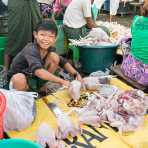 Young smiling boy quartering chickens at market in Sittwe, Rakhine State, Myanmar, Indochina, South Easr Asia.