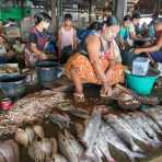 A fish seller with Tha Nat Khar on her face, at the market in Sittwe, Rakhine State, Myanmar, Indochina, South Easr Asia.