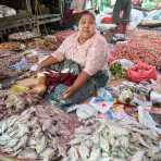 Woman selling salted fishes at Nanpam Village market, Inle Lake, Shan State, Mynamar, Indochina, South East Asia.