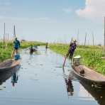 Boatmen traditionally leg rowing, Inle Lake, Shan State, Myanmar, Indochina, South East Asia.