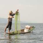 Fisherman traditionally leg rowing, Inle Lake, Shan State, Myanmar, Indochina, South East Asia.
