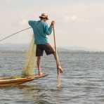 Fisherman traditionally leg rowing, Inle Lake, Shan State, Myanmar, Indochina, South East Asia.