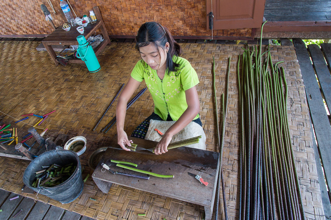Young woman extracting natural fibers from lotus stems, Kyaing Kan Village, Inle Lake, Shan State, Myanmar, Indochina, South East Asia.