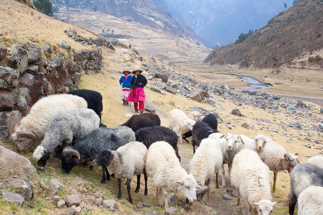 Young sheperds from the high elevation of the Cordillera Blanca, Peru, South America