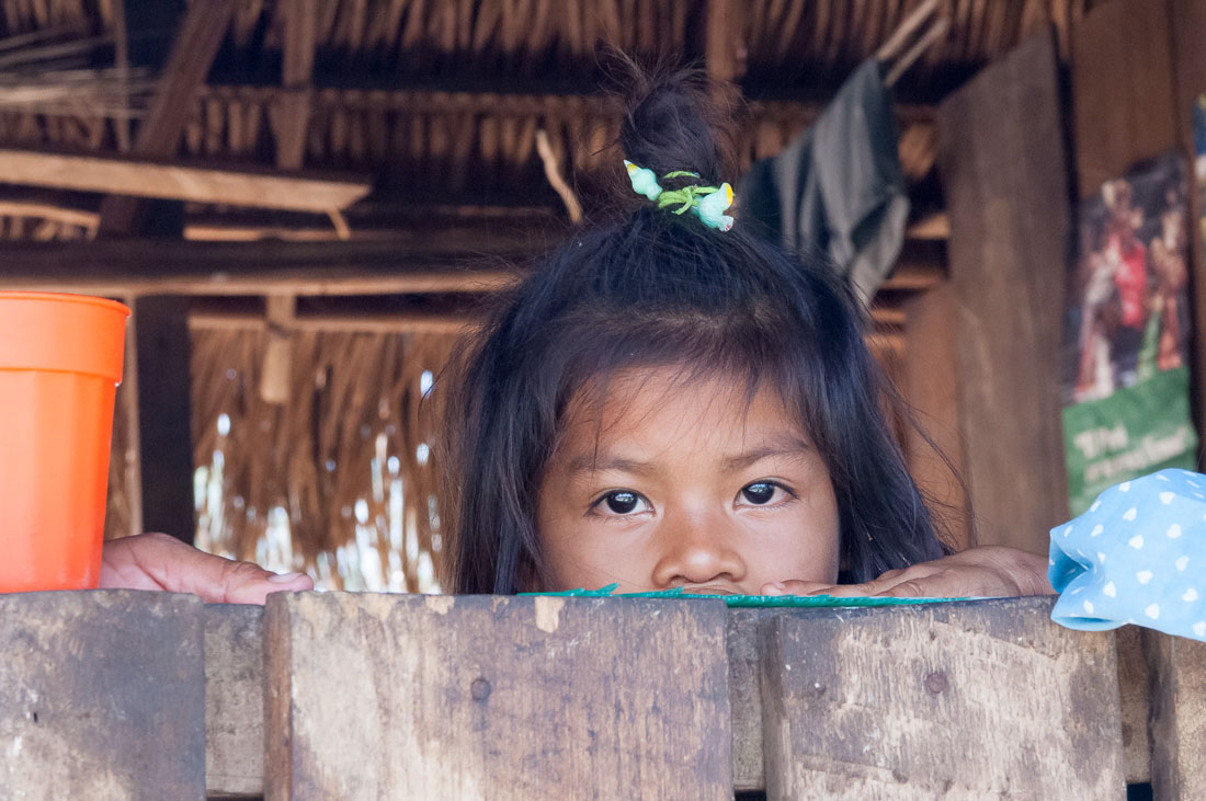 Mashco Piros girl from the indian native community of Monte Salvado, in the rain forest of Rio las Piedras, Amazon Basin of Madre de Dios, Peru, South America