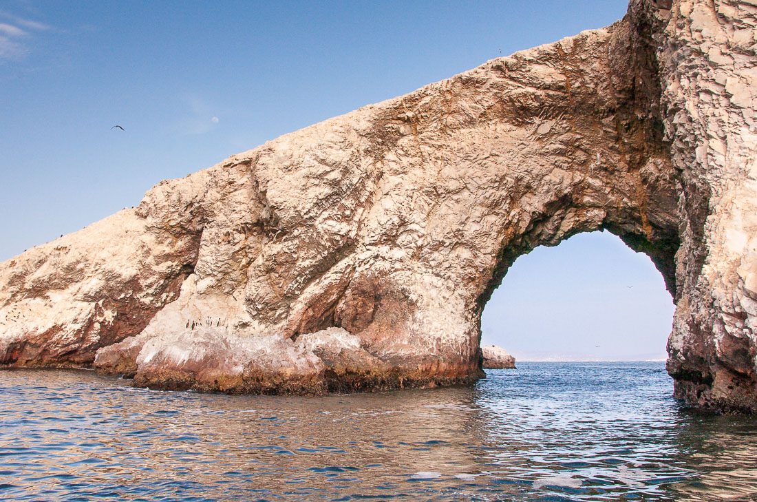 Islas Ballestas at Reserva Nacional de Paracas, Peru, South America