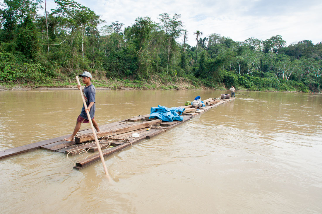 Balseros moving downstream Rio las Piedras on a barge made out of hard wood tied together with ropes, rain forest of Amazon Basin,  Madre de Dios, Peru, South America