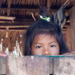 Mashco Piros girl from the indian native community of Monte Salvado, in the rain forest of Rio las Piedras, Amazon Basin of Madre de Dios, Peru, South America