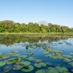 Cocha Blanco, a cross bow lake, natural habitat for the giant river otters, Madre de Dios, Peru