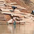 Illegal loggers on the river banks of Rio las Piedras, rain forest of Amazon Basin, Madre de Dios, Peru, South America