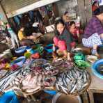 Fish vendors at Hue market, Thua Thien-Hue province. Viet Nam, Indochina, South East Asia.