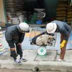 Weighing dogs an a scale,  they will be served as food in restaurant, market in Dong Van, Ha Giang Province, Viet Nam, Indochina, South East Asia.