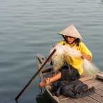 Fisherman setting his net in Hoi An, Thu Bon River, Quang Nam Province, Viet Nam, Indochina, South East Asia