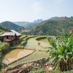 Black Tai people ethnic minority house overlooking rice fields, Lai Chau province. Viet Nam, Indochina, South East Asia