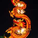 Display of artistic lanterns during the 2014 Tet lunar year celebration. Hoi An, Quang Nam Province, Viet Nam, Indochina, South East Asia.